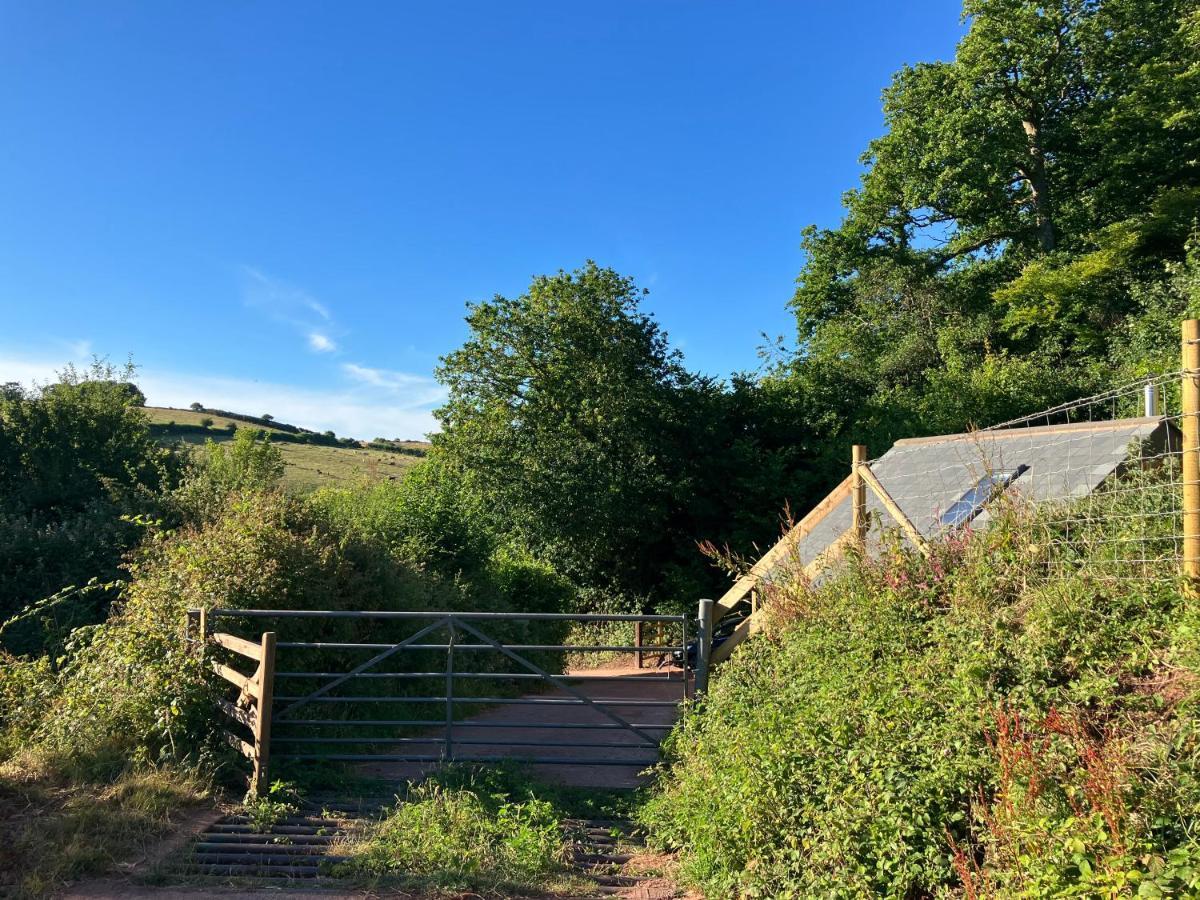 Barn In Somerset Romantic Hideaway Nettlecombe  Zewnętrze zdjęcie
